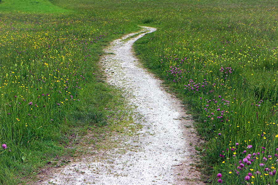 trail